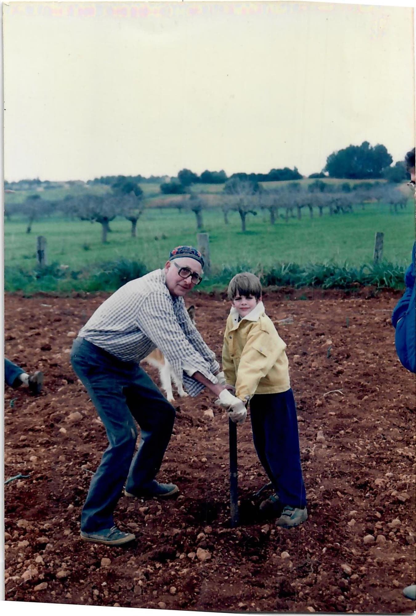 Grandfather and a child planting a vine by hand