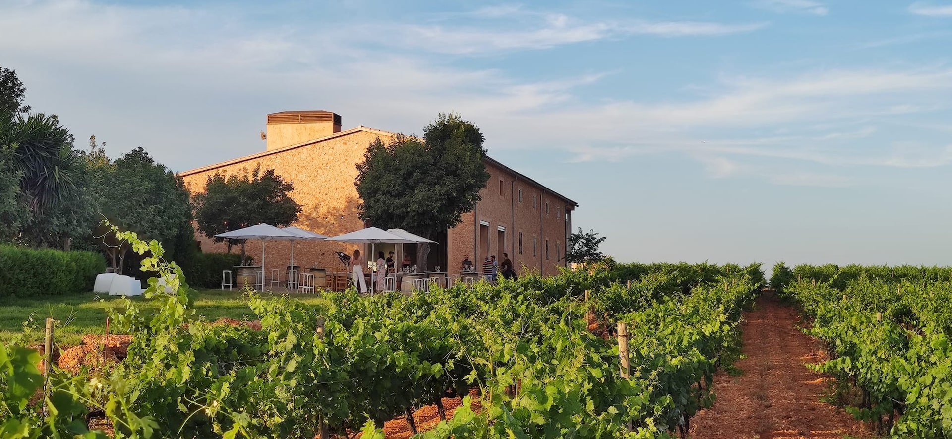 The Son Prim winery at sunset, terrace set and the vines in front