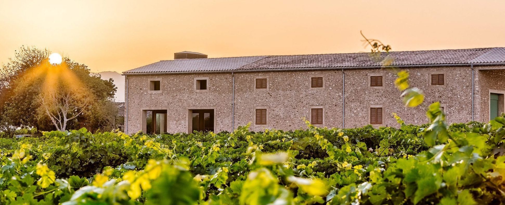 The Son Prim barrel cellar during a visit